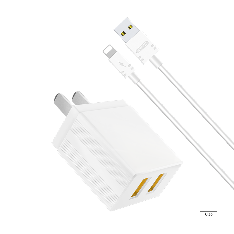 Dual USB charger +micro cables set